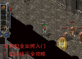 ��ʦְҵ������ţ�ʵս����ȫ����