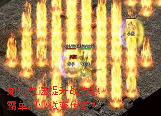 ��ο�������ս���ưԵ�ְҵ΢�䴫�棿