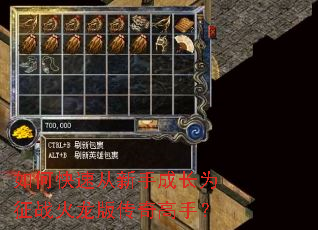 ��ο��ٴ����ֳɳ�Ϊ��ս�����洫����֣�