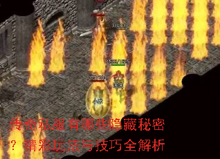 ����˽������Щ�������ܣ������淨�뼼��ȫ����