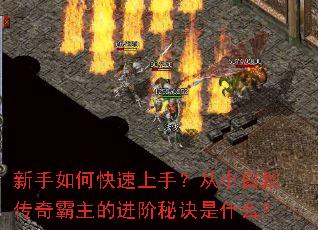 ������ο������֣���С�׵���������Ľ����ؾ���ʲô��