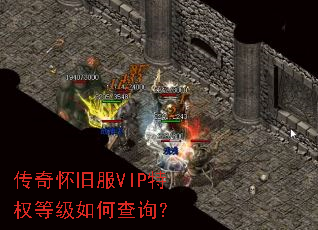 ���滳�ɷ�VIP��Ȩ�ȼ���β�ѯ��