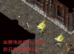 ��ο�������С��ʿ���ٻ����ܵȼ���