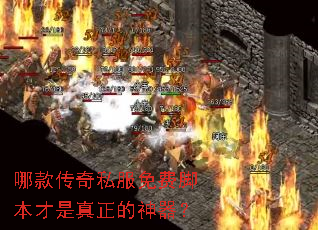 �Ŀ��˽����ѽű�����������������