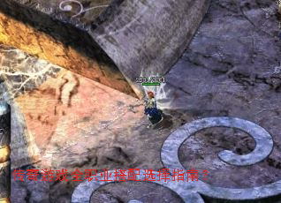 ������Ϸȫְҵ����ѡ��ָ�ϣ�