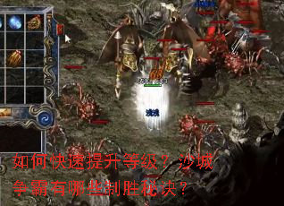 ��ο��������ȼ���ɳ����������Щ��ʤ�ؾ���