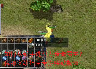 ��δ����ֽ���Ϊ���������˽��ʵսָ�ϴ���ͻ��ƿ��