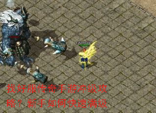 �Һ÷��������γ弶���ԣ�������ο�������