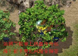 �������������Ѫ����˽�������ֳ�������ȫ���