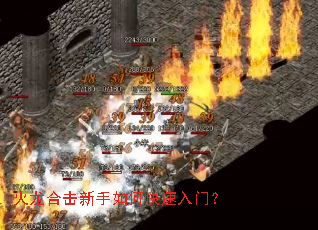 �����ϻ�������ο������ţ�