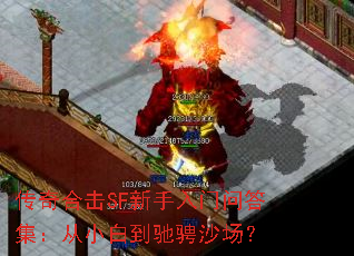 ����ϻ�SF���������ʴ𼯣���С�׵��۳�ɳ����