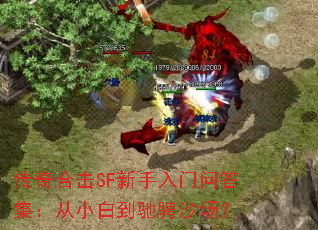 ����ϻ�SF���������ʴ𼯣���С�׵��۳�ɳ����