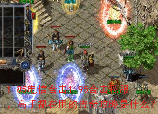 1.85���źϻ�1.95�ϻ�˽�������ֶ����õĴ��湥����ʲô��