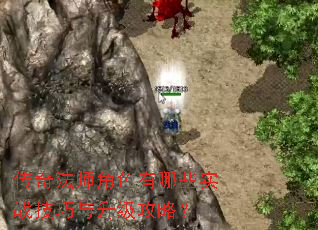 ���淨ʦ��ɫ����Щʵս�������������ԣ�