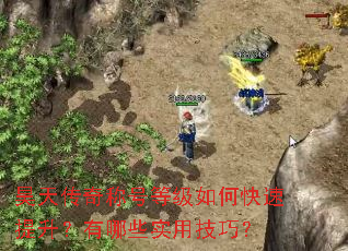 ��촫��ƺŵȼ���ο�������������Щʵ�ü��ɣ�
