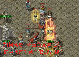 如何驾驭185玉兔元素在传奇中快速升级与获取神装? 如何驾驭185玉兔元素在传奇中快速升级与获取神装?