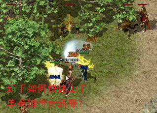 新手如何快速上手单英雄传奇新服? 新手如何快速上手单英雄传奇新服?
