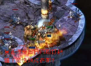 ���Ŵ��������ˢ����è�����ص����ģ�