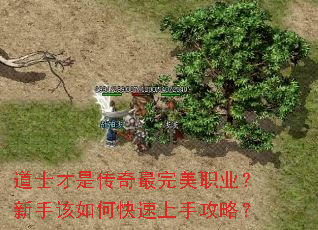 道士才是传奇最完美职业?新手该如何快速上手攻略? 道士才是传奇最完美职业?新手该如何快速上手攻略?