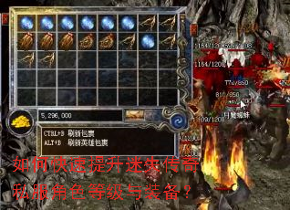 如何快速提升迷失传奇私服角色等级与装备? 如何快速提升迷失传奇私服角色等级与装备?