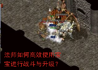 法师如何高效使用宝宝进行战斗与升级? 法师如何高效使用宝宝进行战斗与升级?