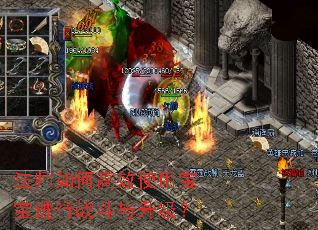 法师如何高效使用宝宝进行战斗与升级? 法师如何高效使用宝宝进行战斗与升级?