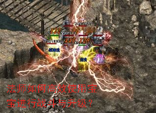 法师如何高效使用宝宝进行战斗与升级? 法师如何高效使用宝宝进行战斗与升级?