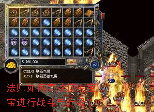 法师如何高效使用宝宝进行战斗与升级? 法师如何高效使用宝宝进行战斗与升级?