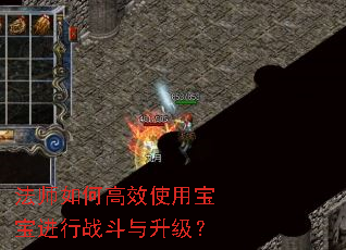 法师如何高效使用宝宝进行战斗与升级? 法师如何高效使用宝宝进行战斗与升级?