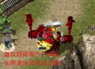 血饮隐藏属性大揭秘,如何激活其神秘力量? 血饮隐藏属性大揭秘,如何激活其神秘力量?
