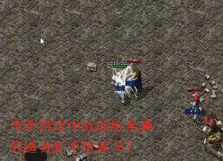 ������Ϸ��սս�������ʺ����������
