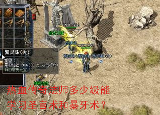 热血传奇法师多少级能学习圣言术和暴牙术? 热血传奇法师多少级能学习圣言术和暴牙术?