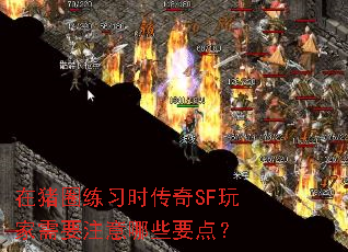 在猪圈练习时传奇SF玩家需要注意哪些要点? 在猪圈练习时传奇SF玩家需要注意哪些要点?