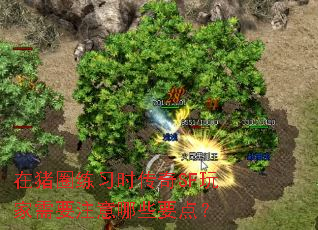 在猪圈练习时传奇SF玩家需要注意哪些要点? 在猪圈练习时传奇SF玩家需要注意哪些要点?