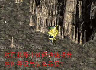 红月私服中如何快速提升角色等级与装备品质? 红月私服中如何快速提升角色等级与装备品质?