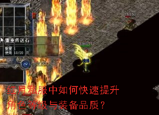 红月私服中如何快速提升角色等级与装备品质? 红月私服中如何快速提升角色等级与装备品质?