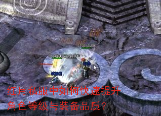 红月私服中如何快速提升角色等级与装备品质? 红月私服中如何快速提升角色等级与装备品质?