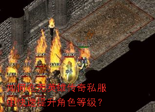 �������Ӣ�۴���˽���п���������ɫ�ȼ���