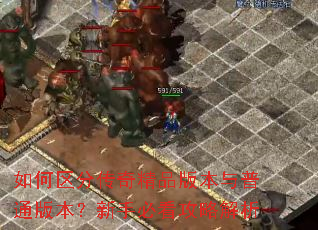 如何区分传奇精品版本与普通版本?新手必看攻略解析 如何区分传奇精品版本与普通版本?新手必看攻略解析