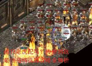 两只老虎配吗?传奇游戏最佳搭档选择攻略全解析 两只老虎配吗?传奇游戏最佳搭档选择攻略全解析