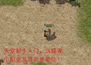 天堂新手入门,选择哪个职业发展前景最佳? 天堂新手入门,选择哪个职业发展前景最佳?