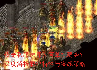 ����˽����ʦΪ�ε������ƣ���Ƚ���ְҵ������ʵս����