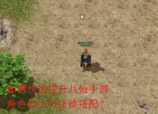 如何快速提升八仙手游角色战力与技能搭配? 如何快速提升八仙手游角色战力与技能搭配?