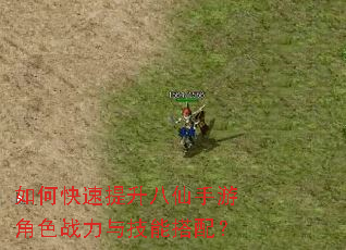 ��ο��������������ν�ɫս���뼼�ܴ��䣿