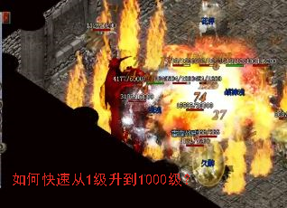 如何快速从1级升到1000级? 如何快速从1级升到1000级?