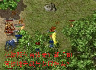 小沈阳代言传奇?新手如何快速升级与获取神装? 小沈阳代言传奇?新手如何快速升级与获取神装?