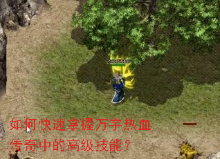 如何快速掌握万宇热血传奇中的高级技能? 如何快速掌握万宇热血传奇中的高级技能?
