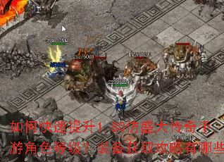 如何快速提升1.80仿盛大传奇手游角色等级?装备获取攻略有哪些? 如何快速提升1.80仿盛大传奇手游角色等级?装备获取攻略有哪些?