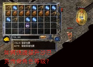 如何快速提升沙巴克传奇角色等级? 如何快速提升沙巴克传奇角色等级?