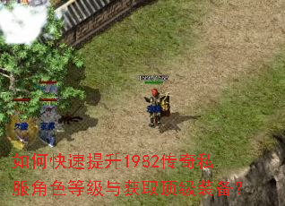 如何快速提升1982传奇私服角色等级与获取顶级装备? 如何快速提升1982传奇私服角色等级与获取顶级装备?